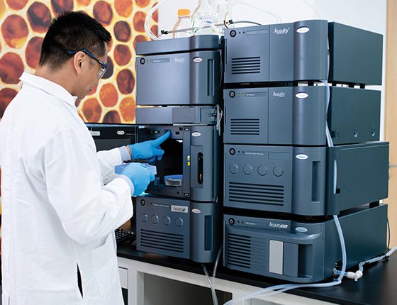 Professional Technical Support