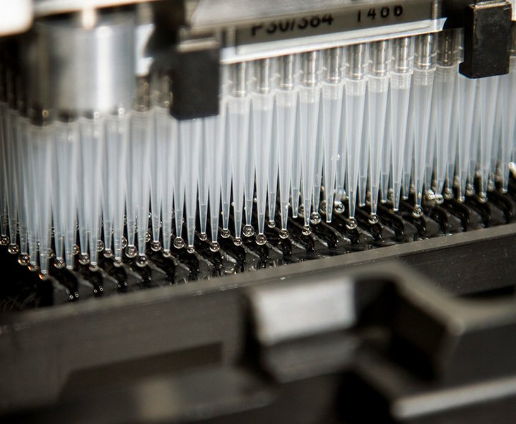 OEM & Custom Options