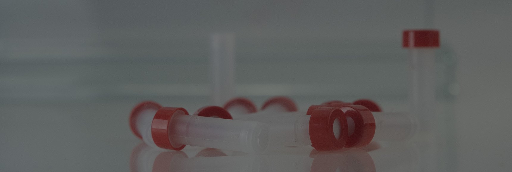 Put the Filter Vial in Your Workflow